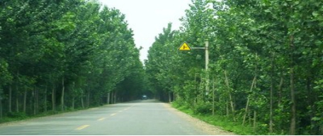 ��ƽ�������߹�·����   